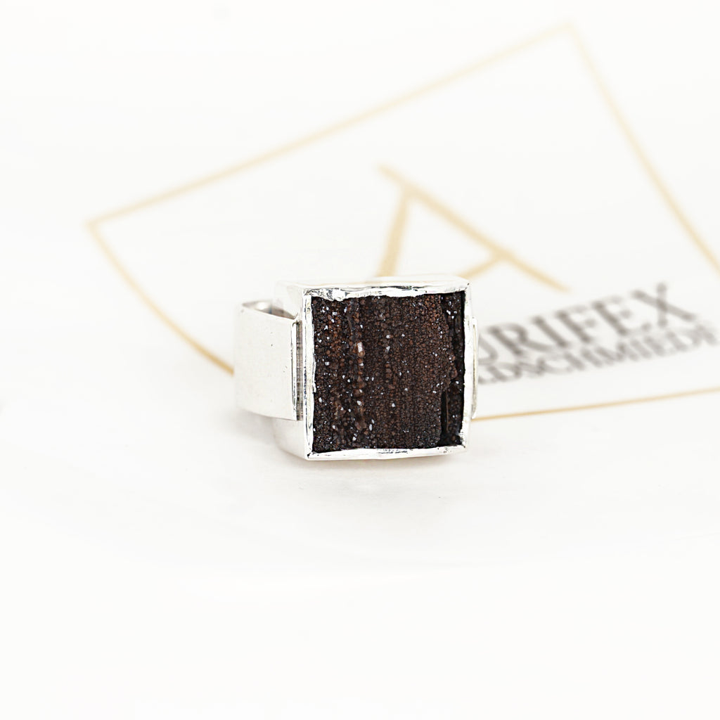  Aurifex Goldschmiede Koblenz Ring aus der Kollektion Silber in Silber mit versteinertem Holz